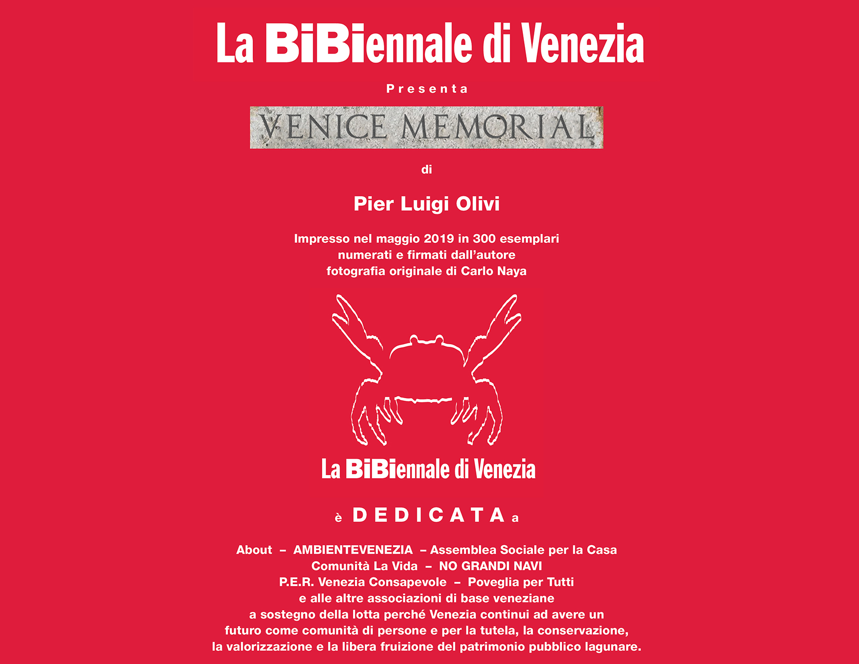 La BiBiennale di Venezia